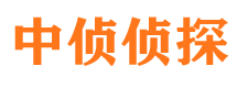 渑池捉小三公司